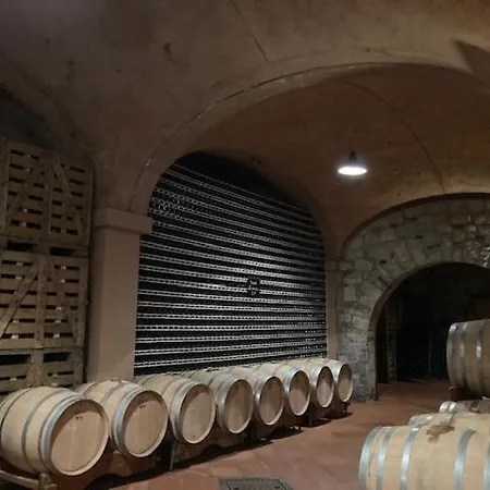 Apartment Franciacorta With