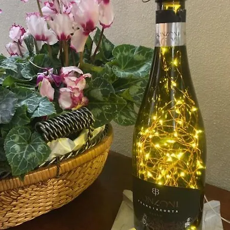 Franciacorta With Apartment *