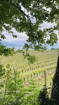 Franciacorta With Apartment *