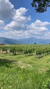 Apartment Franciacorta With *